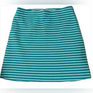 Striped Skirt from TALBOTS PETITES Sz 10P
